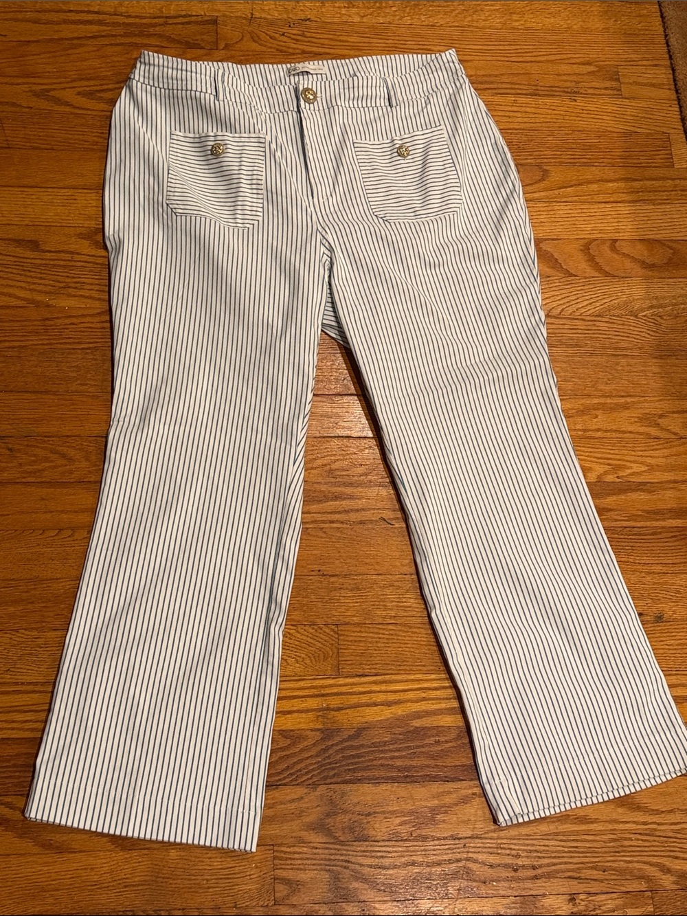 Striped Woman’s Casual Pants in White and Blue